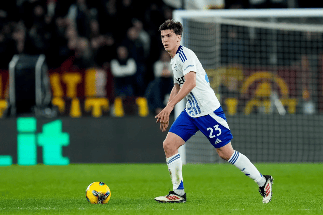 即便猛龙愿 即便猛龙愿